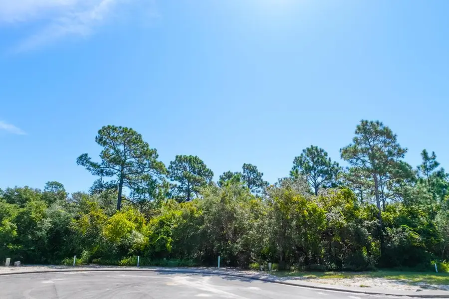 110 Spoonbill Ct, Carrabelle, FL 32323 - Image #2