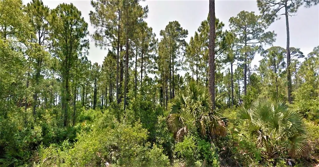 1 Cr 30-a, Port Saint Joe, FL 32456 - #1