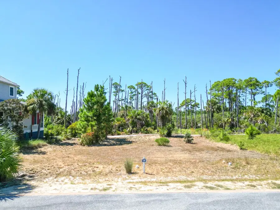 293 Cord Grass Way, Cape San Blas, FL 32456 - #2