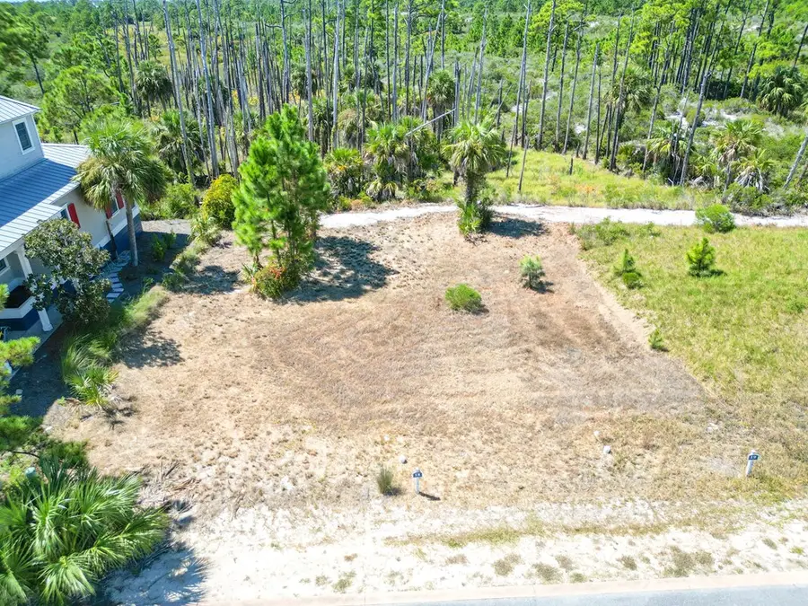 293 Cord Grass Way, Cape San Blas, FL 32456 - #3