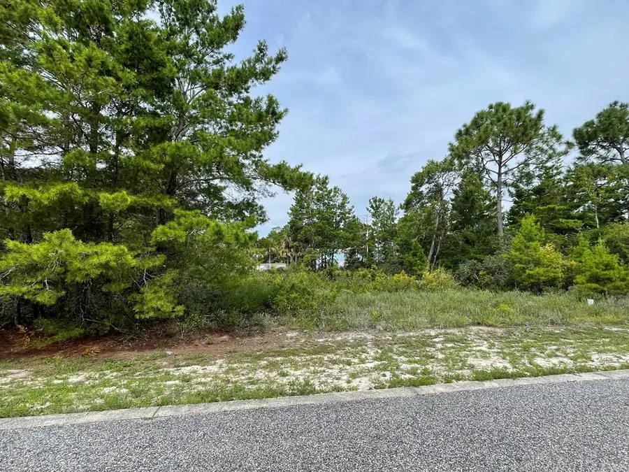 1589 Sandpiper Dr, Carrabelle, FL 32322 - Image #3