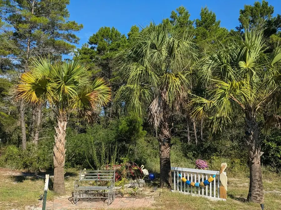 271 Woodill Rd, Carrabelle, FL 32322 - Image #2