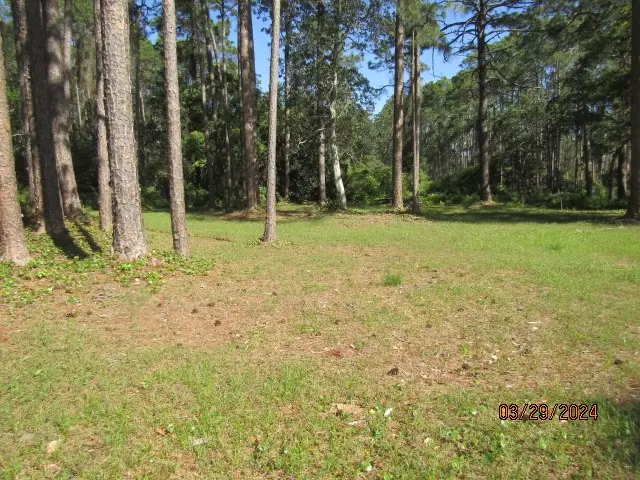 2967 Hwy 98 E, Carrabelle, FL 32322 - Image #2