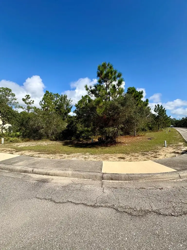137 Anhinga Ct, Carrabelle, FL 32322 - Image #1