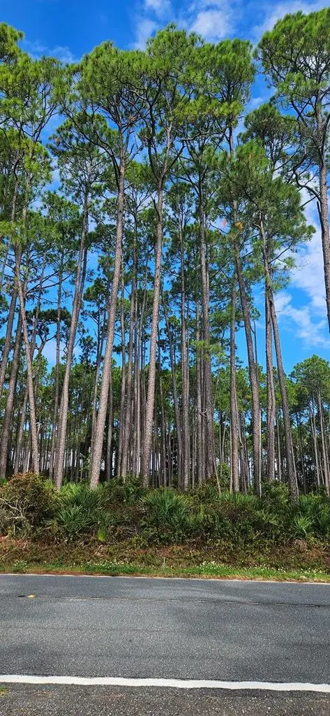 3007 Hwy 98 E, Carrabelle, FL 32322 - Image #3