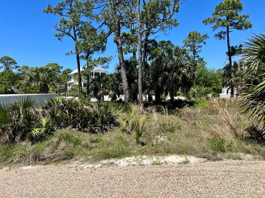 Lot 37 Cord Grass Way, Cape San Blas, FL 32456 - #3