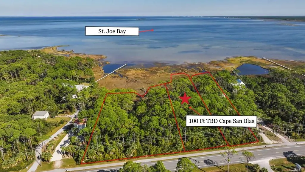 TBD Cape San Blas Rd, Port Saint Joe, FL 32456 - Image #1