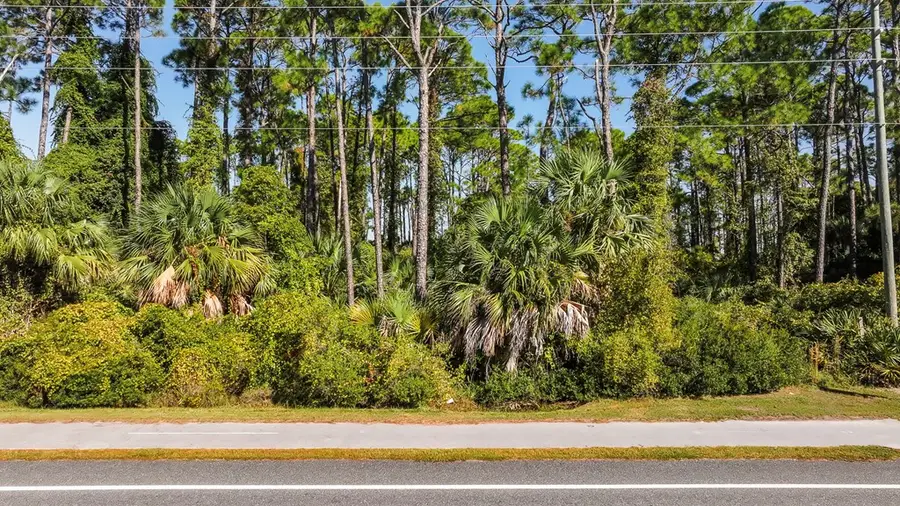 TBD Cape San Blas Rd, Port Saint Joe, FL 32456 - Image #2