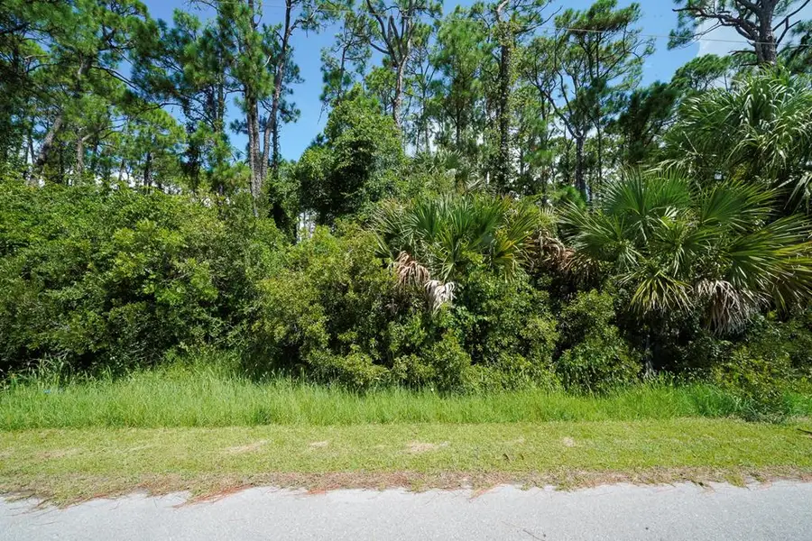 TBD Cape San Blas Rd, Port Saint Joe, FL 32456 - Image #3