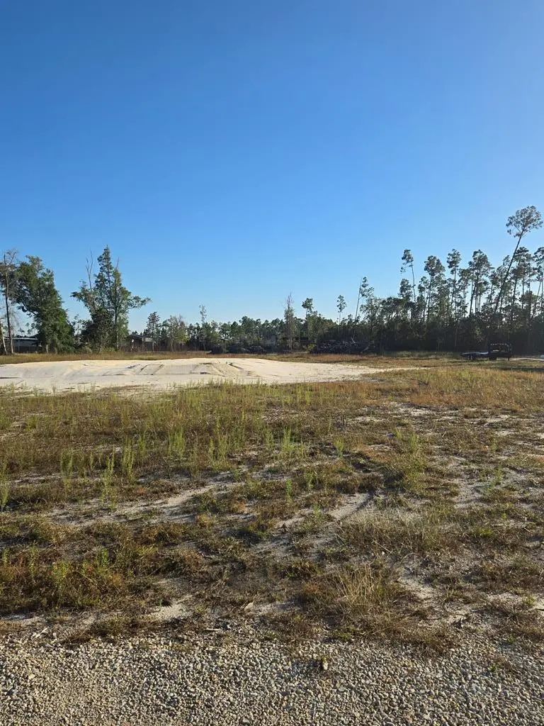 137 Yellowfin Dr #lot 4, Overstreet, FL 32456 - Image #3