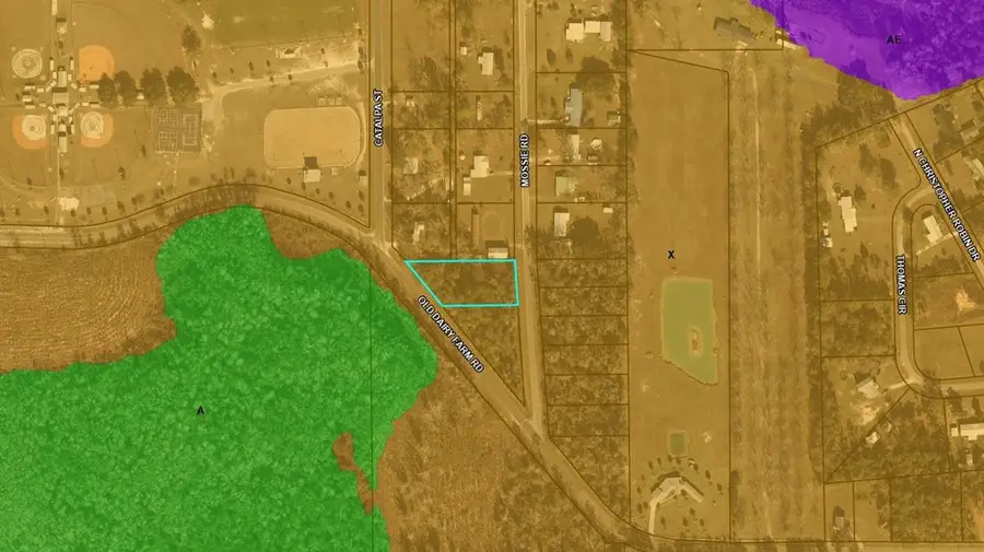 TBD Old Dairy Farm Rd, Wewahitchka, FL 32465 - Image #3