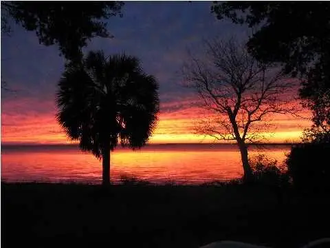 19 S Bay Shore Dr, Eastpoint, FL 32328 - Image #3