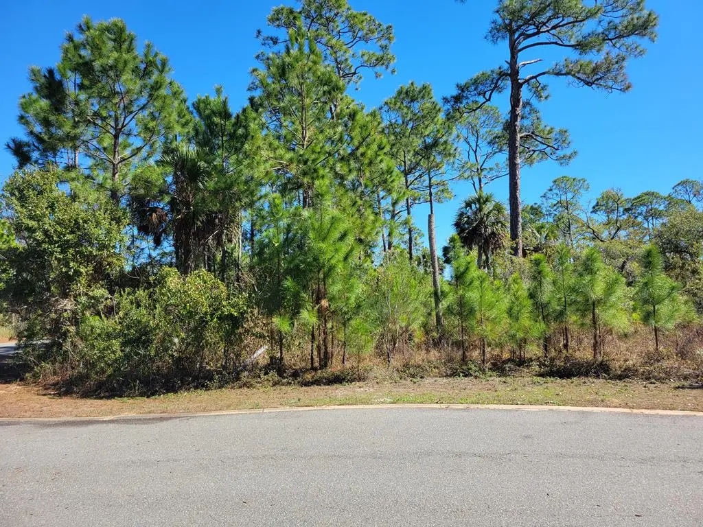 Lot 13 Sweet Bay Ln, Port Saint Joe, FL 32456 - Image #1