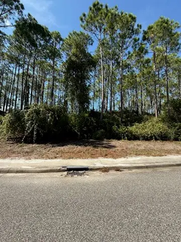 171 Royal Tern Way, Carrabelle, FL 32323 - Image #3