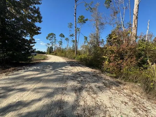 Lot 2 Mcclellan St Se, Kinard, FL 32449 - Image #1