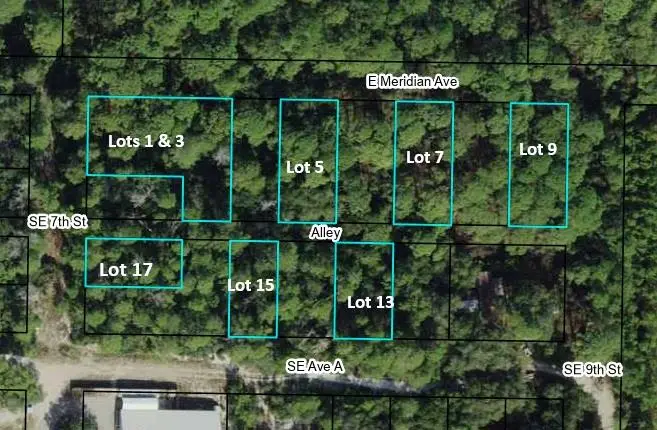 Lot 17 Se 7th St, Carrabelle, FL 32322 - Image #3