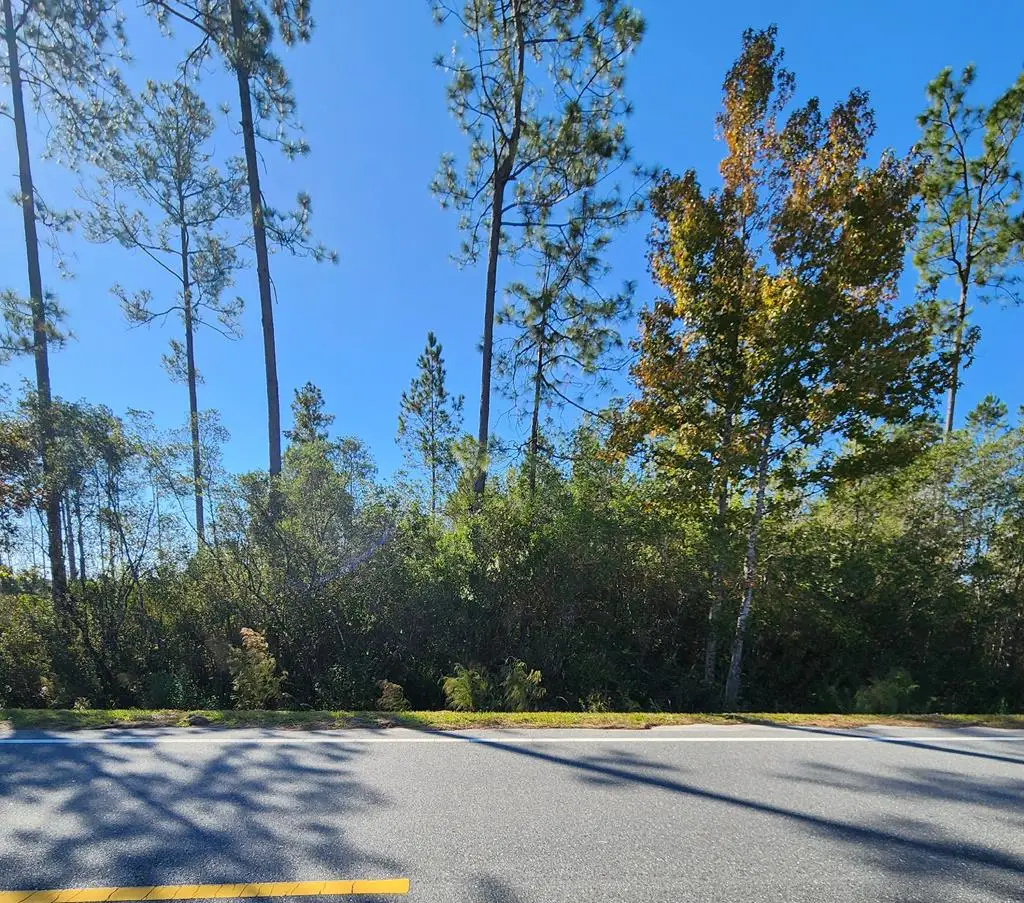 Lot 32 Doc Whitfield Rd, Wewahitchka, FL 32465 - Image #1