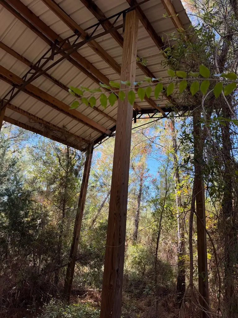 18830 Sr 73, Blountstown, FL 32424 - Image #3