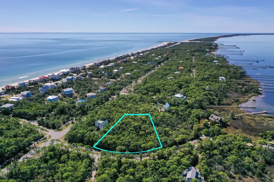 1935 Smugglers Cove Rd, Saint George Island, FL 32328 - Image #3