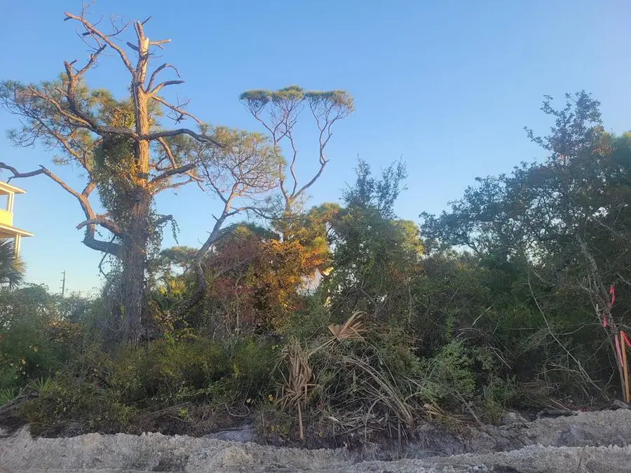 232 E Pine Ave, Saint George Island, FL 32328 - Image #2