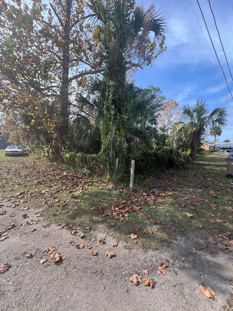 256 Ave C, Port Saint Joe, FL 32456 - Image #3