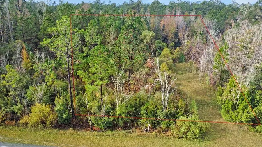 Lot 2 Old Bay City Rd, Wewahitchka, FL 32465 - Image #2