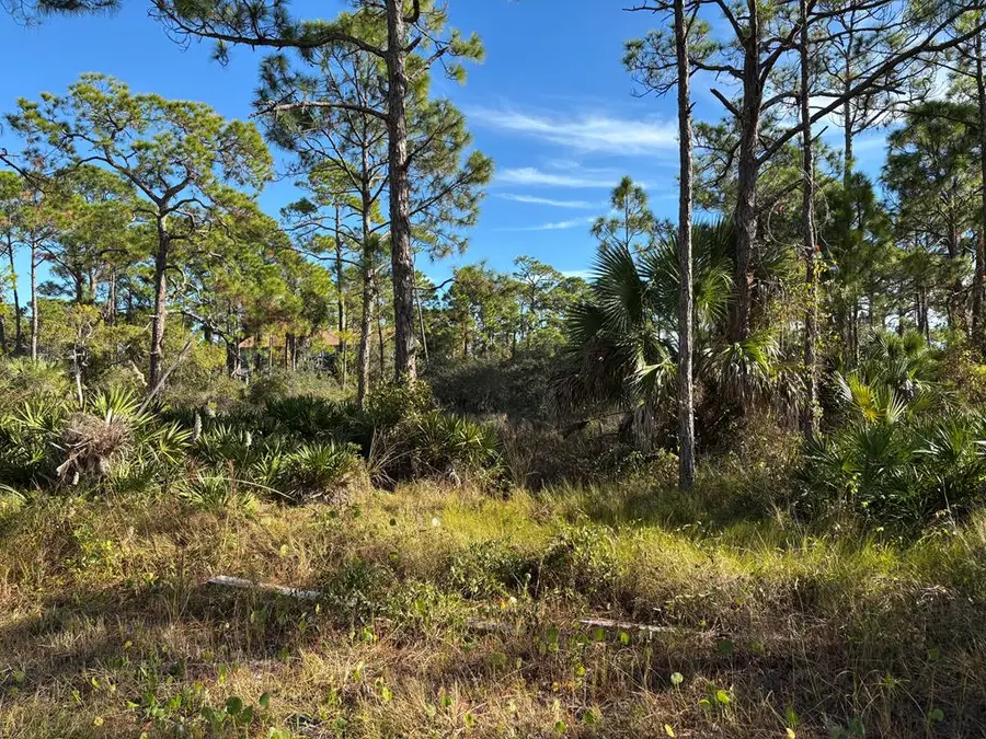 1012 Porter St, Saint George Island, FL 32328 - Image #3
