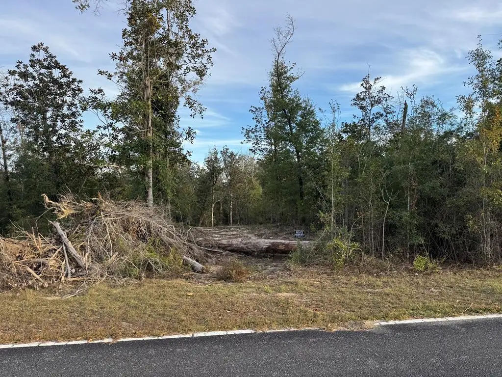 Lot 7 Se Cypress Point Rd, Kinard, FL 32449 - Image #1
