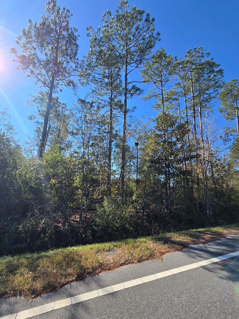 Lot 31 Doc Whitfield Rd, Wewahitchka, FL 32465 - Image #1