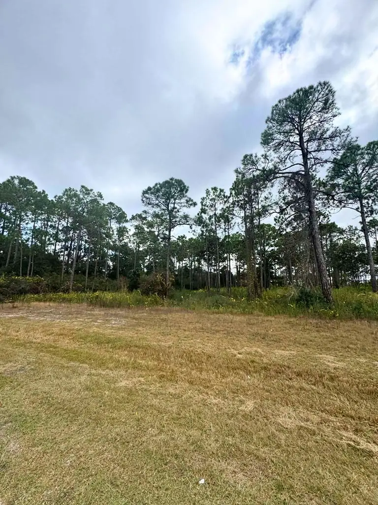 396 Ridgecrest Pkwy, Eastpoint, FL 32328 - Image #1