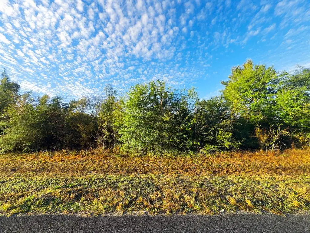 TBD Sw Sr 73, Kinard, FL 32449 - Image #1