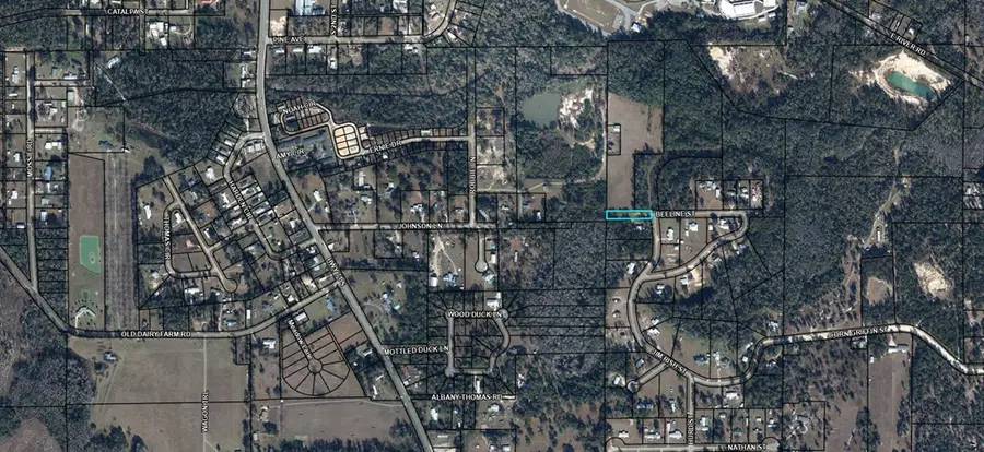 TBD Beeline St, Wewahitchka, FL 32465 - Image #3