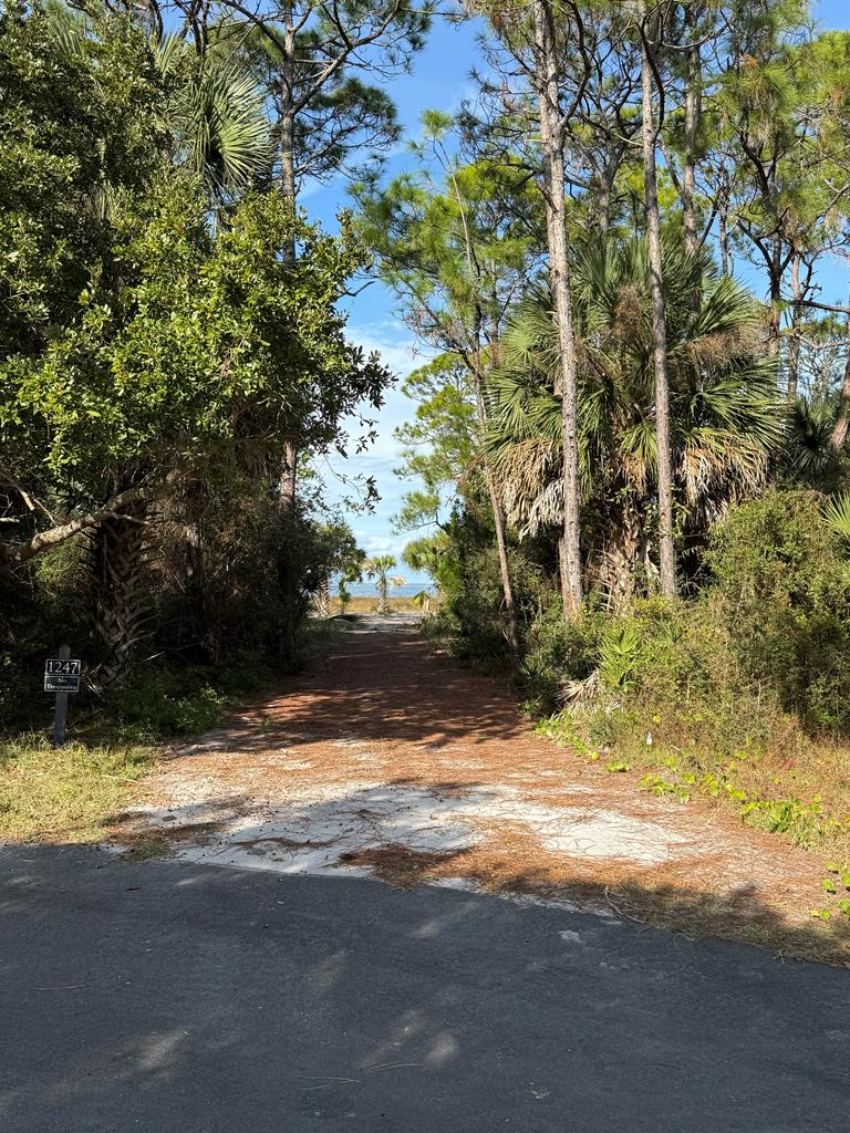 1247 Avocet Ln, Saint George Island, FL 32328 - Image #1