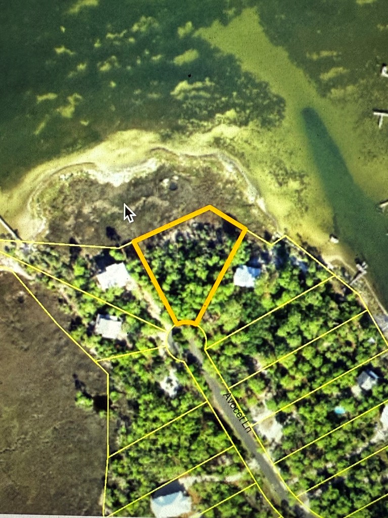 1247 Avocet Ln, Saint George Island, FL 32328 - Image #2