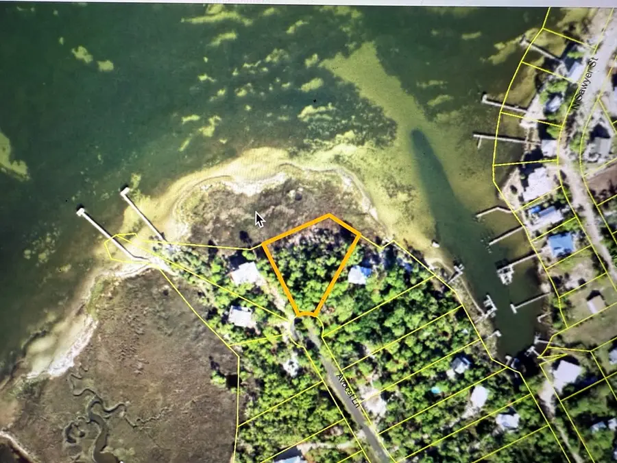 1247 Avocet Ln, Saint George Island, FL 32328 - Image #3