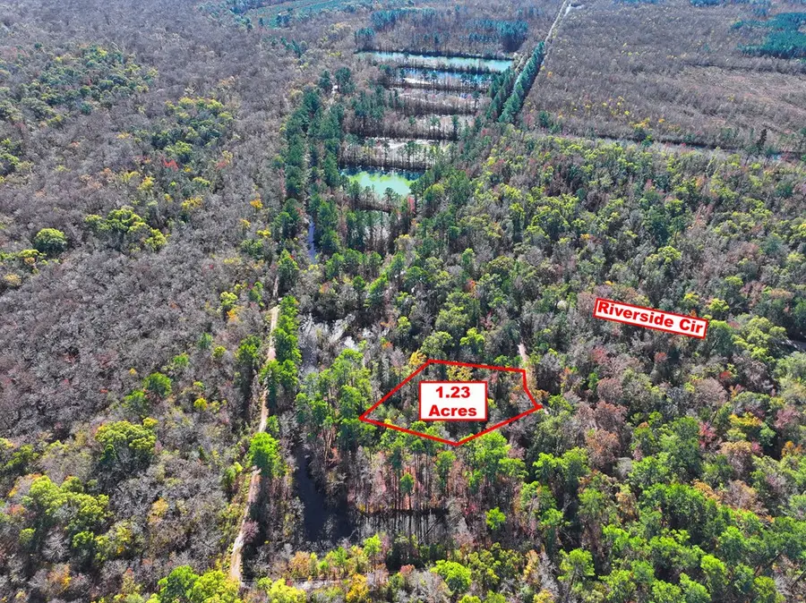 254 Riverside Cir, Wewahitchka, FL 32465 - Image #2