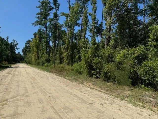 Lot 1-3 Johnson St, Wewahitchka, FL 32465 - Image #3