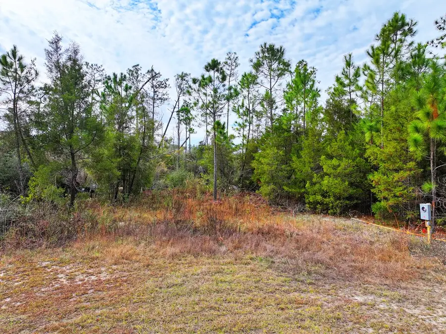 491 Spruce Ave #Unit 3, Wewahitchka, FL 32465 - Image #2