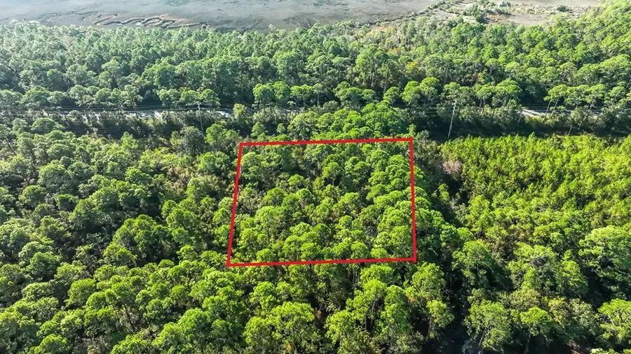 3 Mark St, Apalachicola, FL 32320 - Image #3