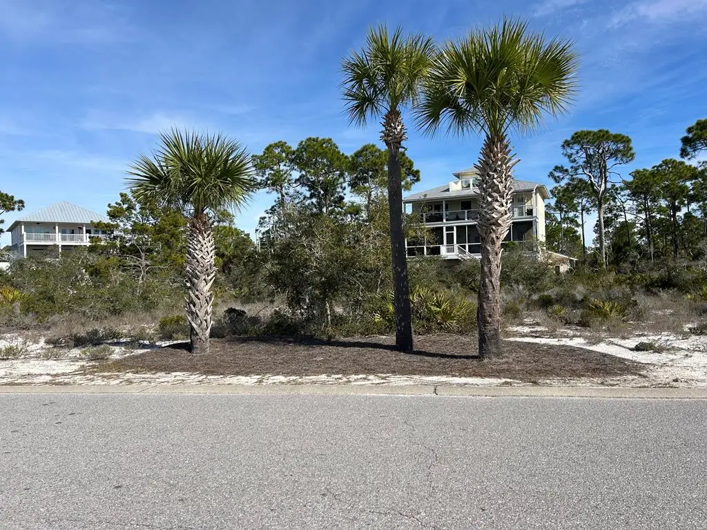 302 Windmark Way, Port Saint Joe, FL 32456 - #1