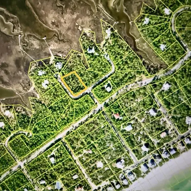 1735 Kingfisher Rd, Saint George Island, FL 32328 - Image #1