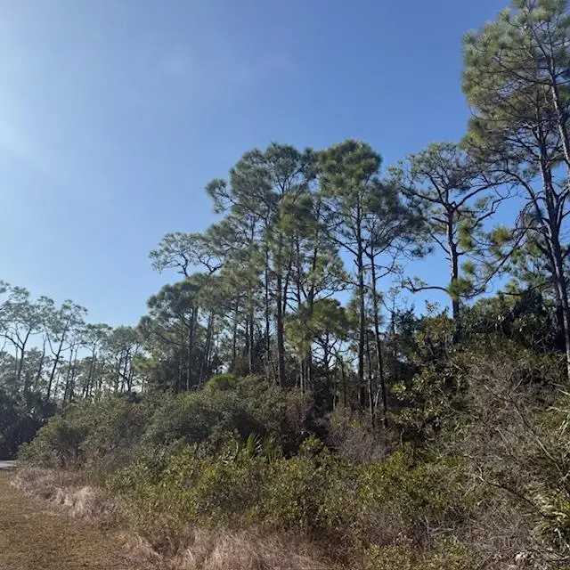 1735 Kingfisher Rd, Saint George Island, FL 32328 - Image #3