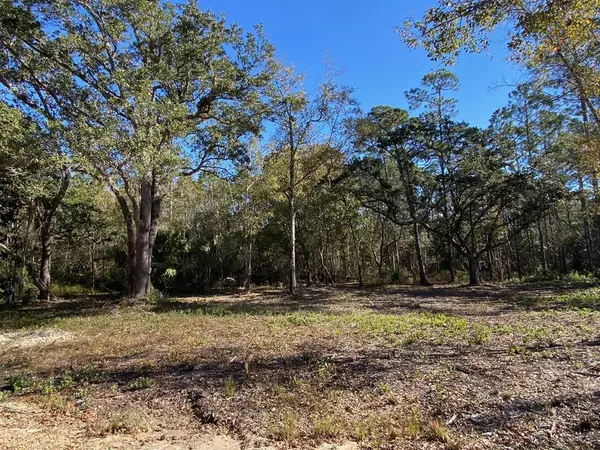 Lot 3 Hwy 98 E, Port St. Joe, FL 32456