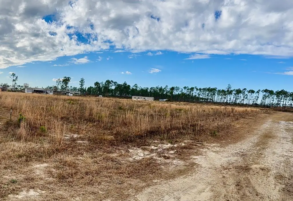 Lot 6 Margies Ln, Wewahitchka, FL 32465 - #1