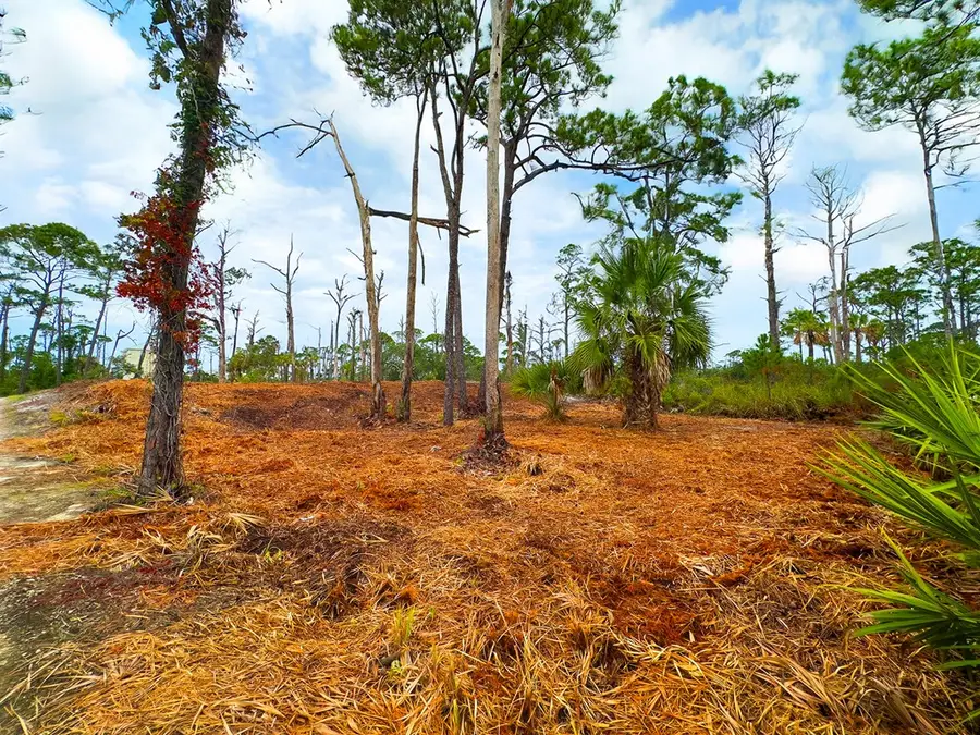 Parcel B Cape San Blas Rd, Cape San Blas, FL 32456 - #3