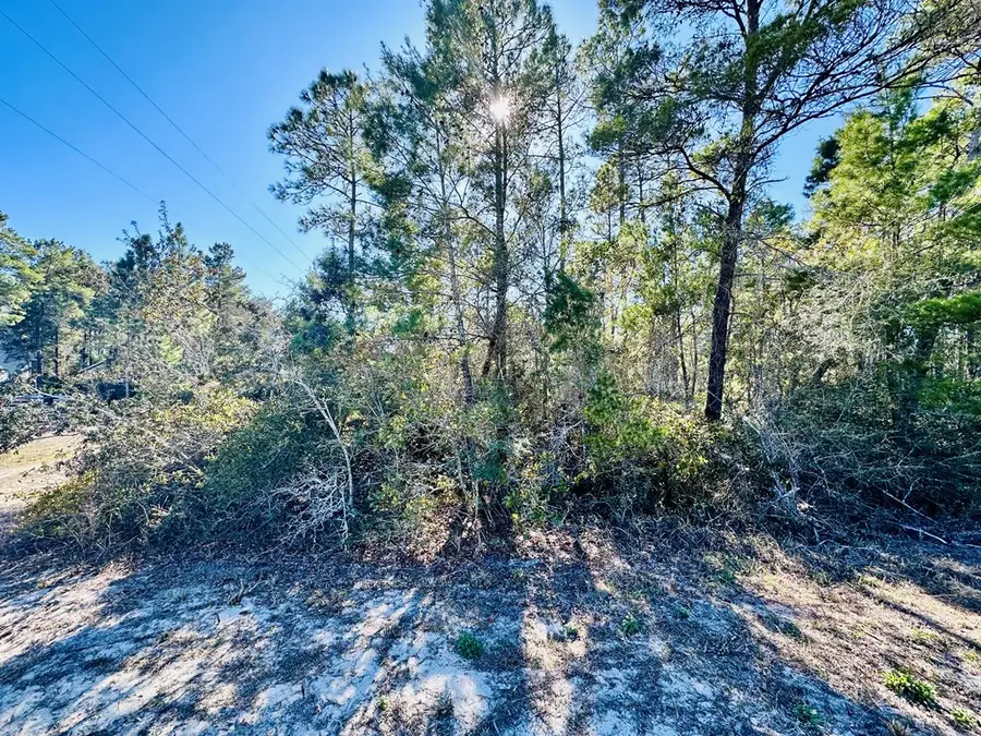 260 River Rd, Carrabelle, FL 32322 - Image #2