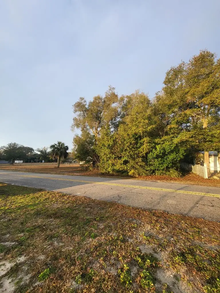 907 Ne 1st St, Carrabelle, FL 32322 - Image #2