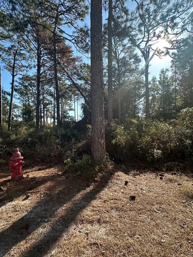 255 Royal Tern Way, Carrabelle, FL 32322 - Image #1