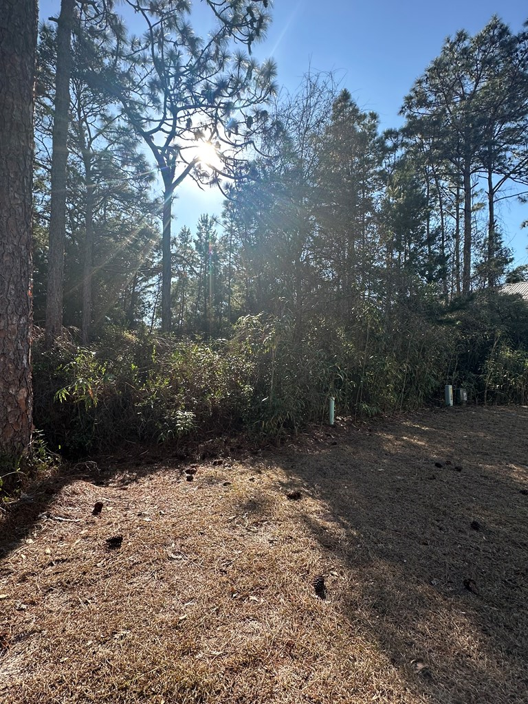 255 Royal Tern Way, Carrabelle, FL 32322 - Image #2