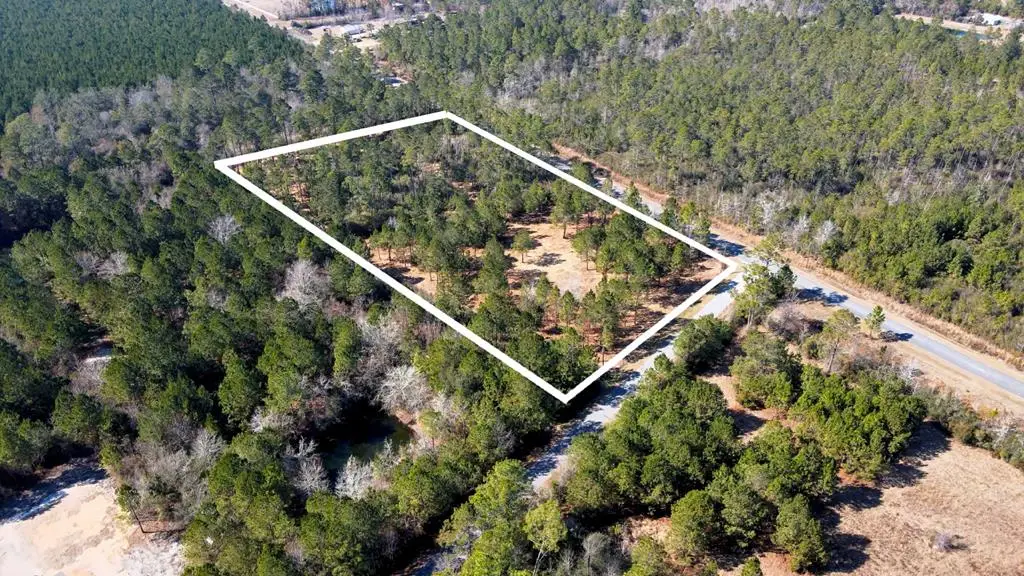 TBD Luke Ford Rd, Wewahitchka, FL 32465 - #1